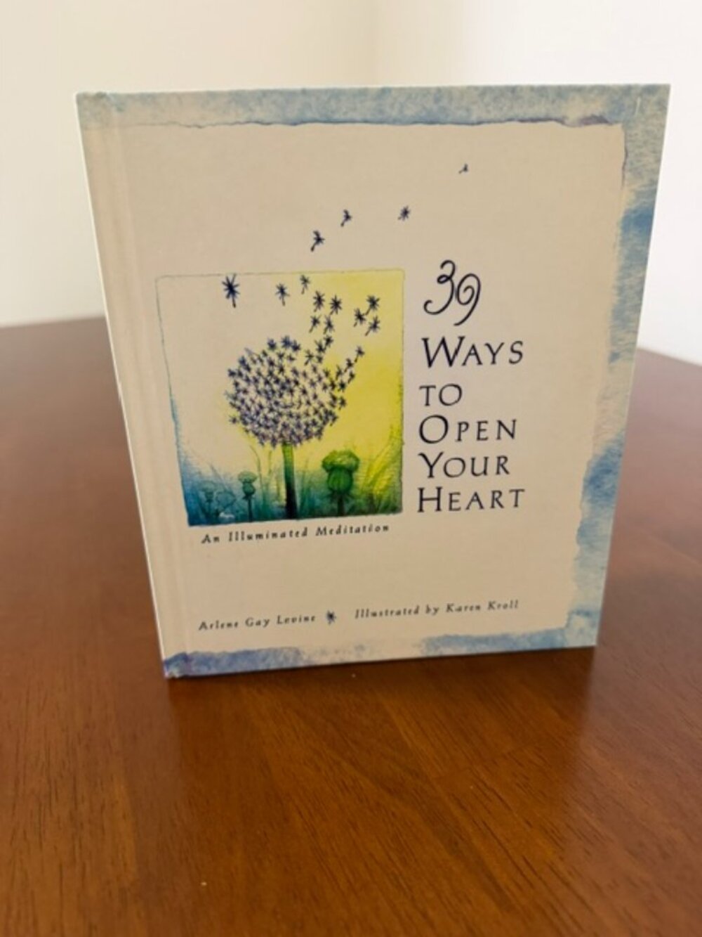 VTG 39 Ways to Open Your Heart: An Illuminated Meditation